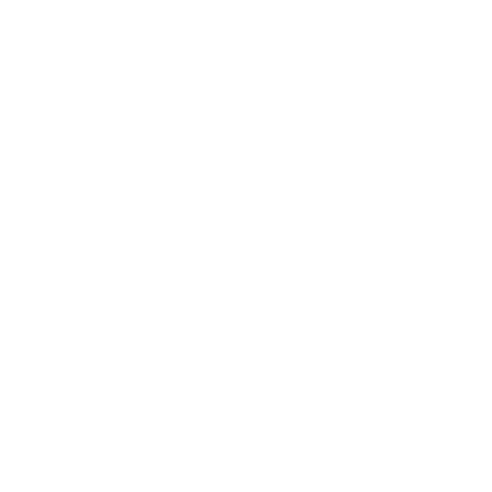 Vinted Vault